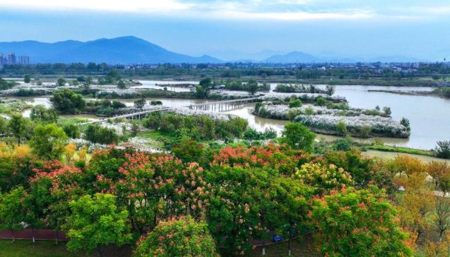 新闻多一点丨天汉湿地公园：汉中绿水青山生态画卷的“城市名片”