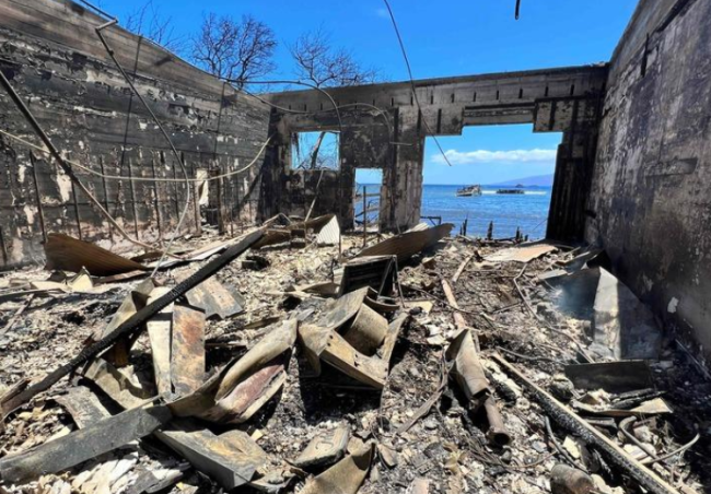 夏威夷发生山火， 前议员：殖民贪婪，正在毁灭他们的家园