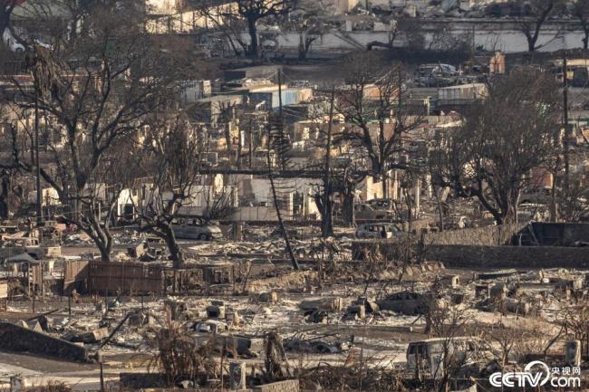 美国毛伊岛大火已致99人死亡 约1300人失踪