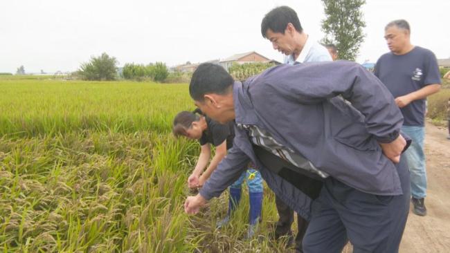 众志成城 防汛救灾丨能多抢一亩是一亩