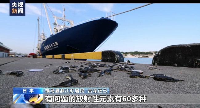 启动核污染水排海 日本老人海边扎帐篷抗议