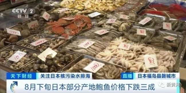日本渔业受到负面影响：订单取消价格暴跌 渔民入不敷出纷纷转行