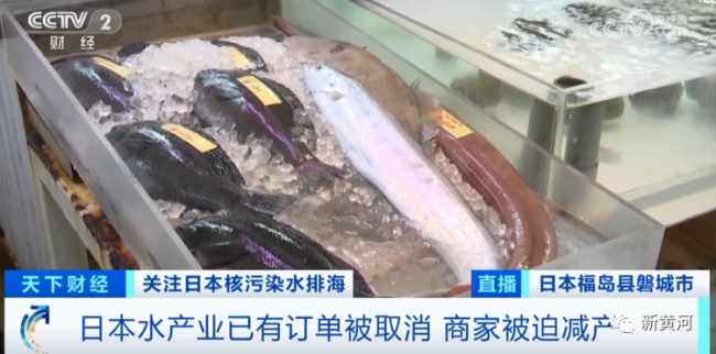 日本渔业受到负面影响：订单取消价格暴跌 渔民入不敷出纷纷转行