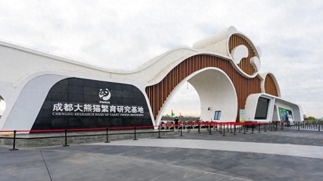 永久拉黑!两游客终身禁入熊猫基地:参观时私自投喂违反相关规定