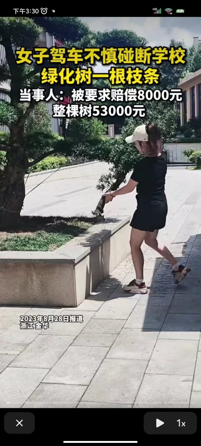 女子撞断绿化树枝被索赔 相关部门正在对该案件进行调查和处理