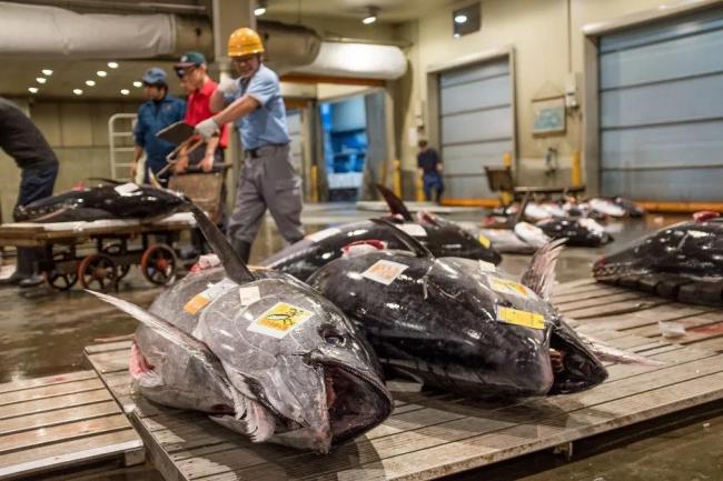 嚣张至极！日本政客放肆言论引争议：中国游客入境需先喝核废水