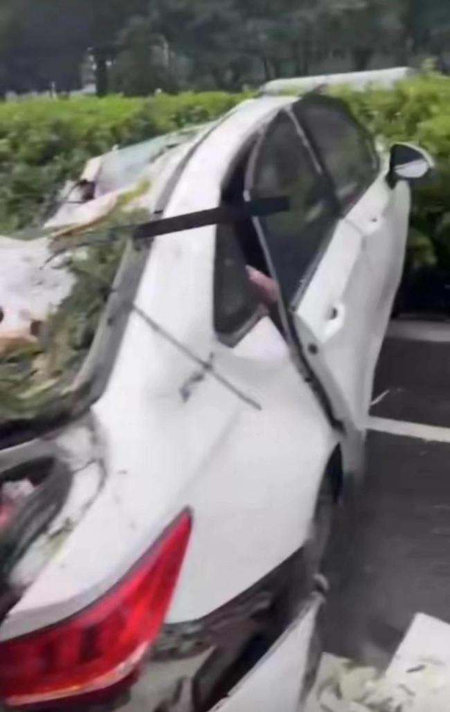 痛心！1死2伤!深圳台风吹倒树砸中车辆:司机不幸遇难,两女子受伤