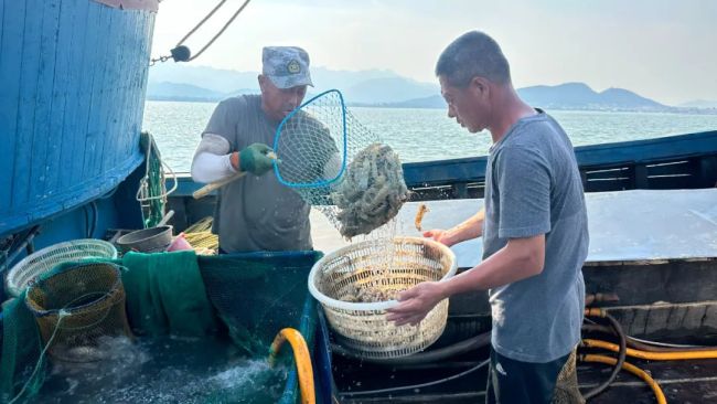 山东市民抢购开海第一鲜 青岛“炫富”式“开海”