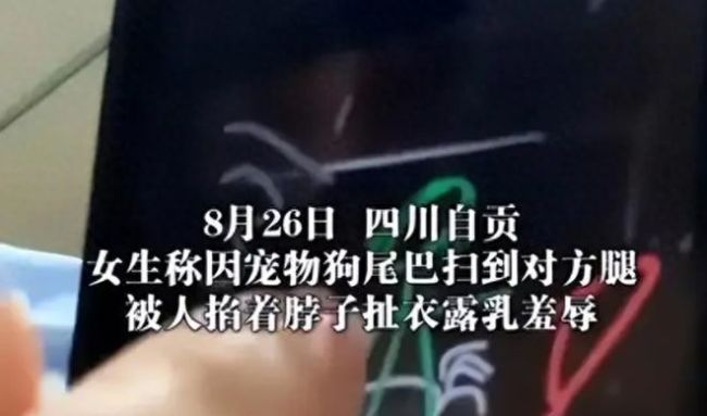 女子被殴打扒衣服后续，不满认定吞服安眠药