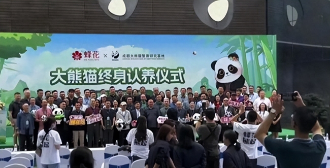 蜂花官宣认养大熊猫，蜂花：该省省，该花花，钱就是要花在刀刃上！