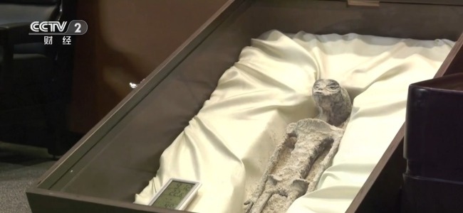 墨西哥议会举行听证会 展出疑似“外星生物”遗骸