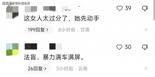 大姐锁喉辱国男子：不允许你说中国不行 滚出中国