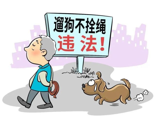 主人被自家狗绳绊致伤残 却向他人索赔？法院这样判决