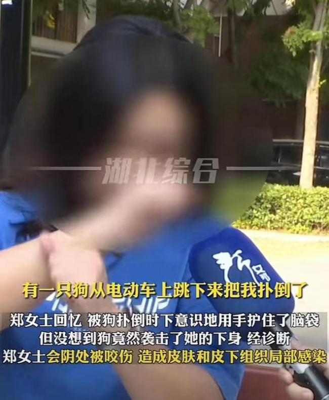 女子夜跑遭恶犬咬伤,事后索赔五千遭到狗主人拒绝