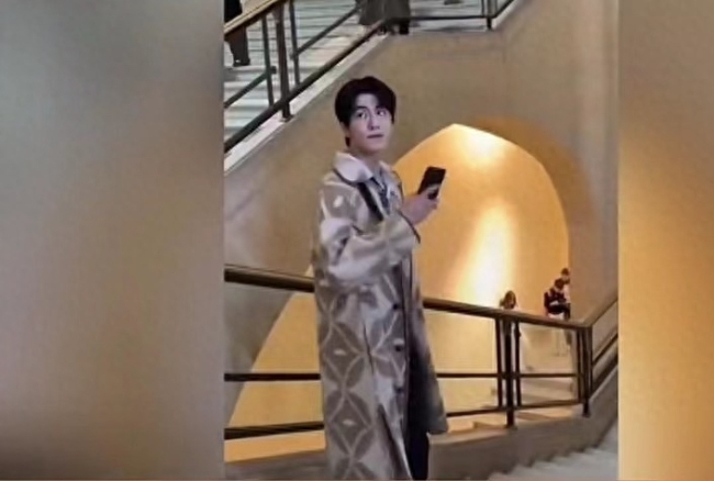 网友巴黎街头偶遇张凌赫颜值和身高抗打生图超帅