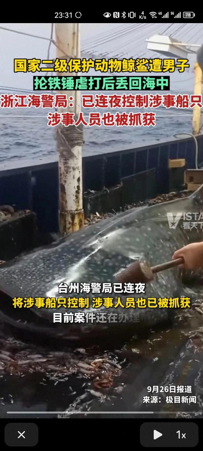视频曝光！男子9次锤击鲸鲨头部令人气愤 海警介入调查涉事人员被抓获