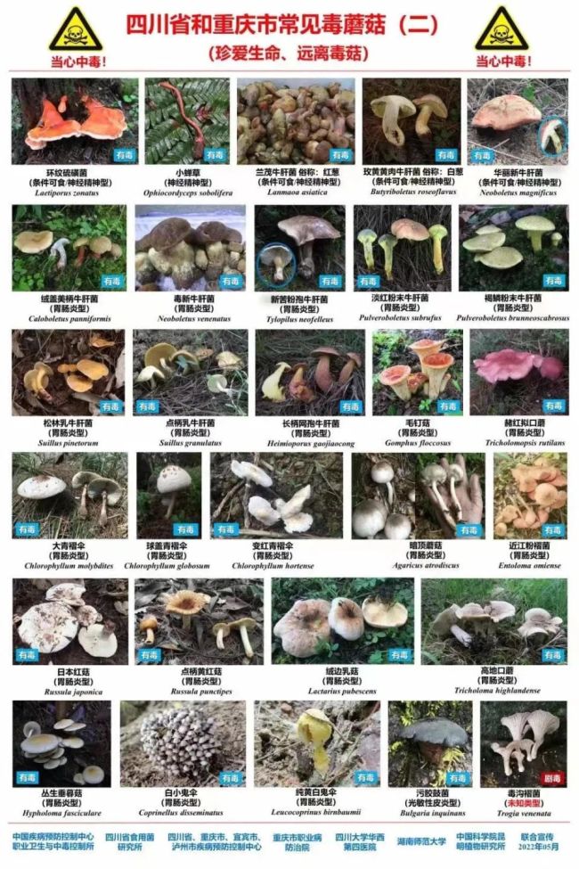 一家5口误食毒蘑菇中毒 医生彻夜救治