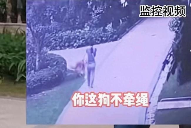 男子遛狗不牵绳自称警察 看完监控后仍不认错威胁对方