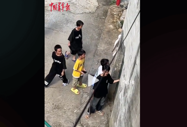 小学生走几公里找老师玩