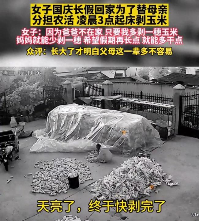 女儿假期里凌晨起床剥玉米,“不舍得父母受罪,能分担的替他们多分担一些。”