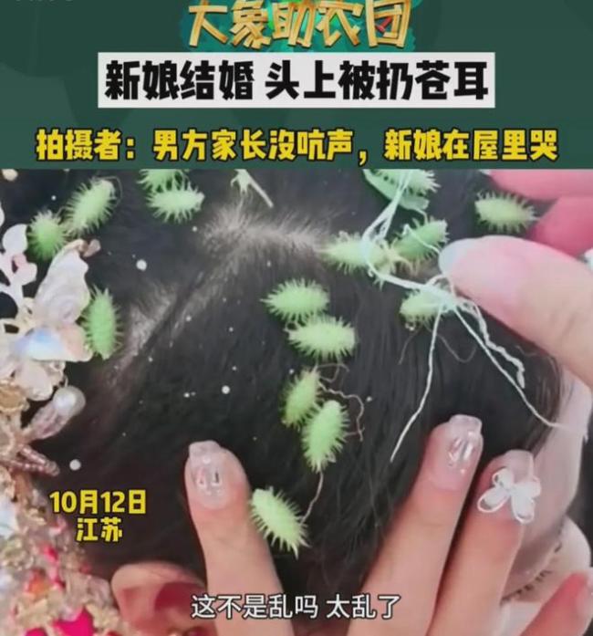 新娘子头上被扔苍耳 网友：这样的婚闹可以取缔了