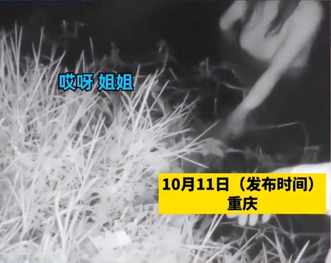 女子站水中逼丈夫离婚被民警救出，丈夫经调解签字