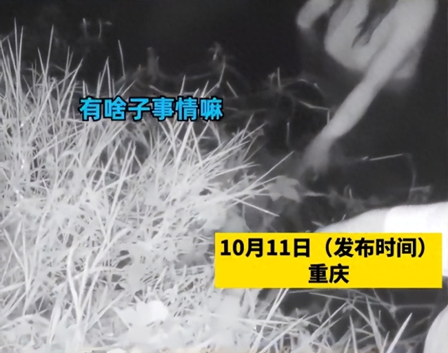 女子站水中逼丈夫离婚被民警救出，丈夫经调解签字