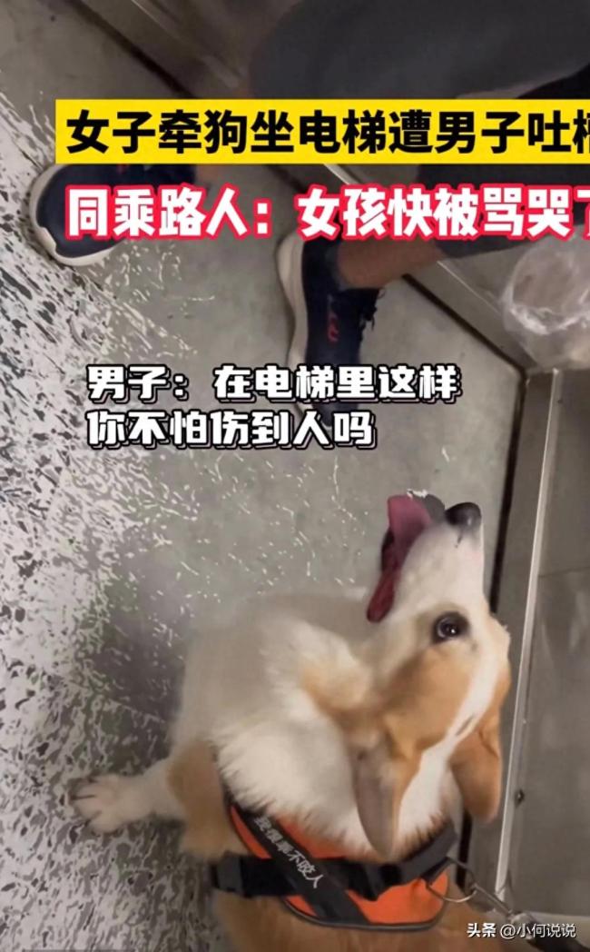 女子牵狗乘电梯被教育 拍摄者：女子都快要被骂哭了