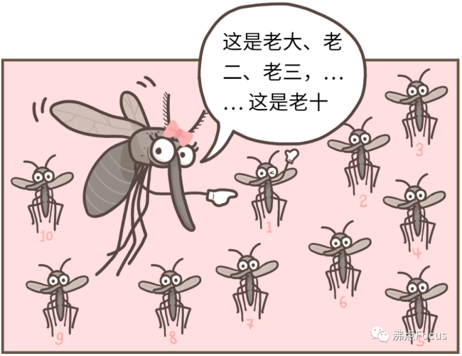 专家警告：随着气候变暖 未来蚊虫或全年无休