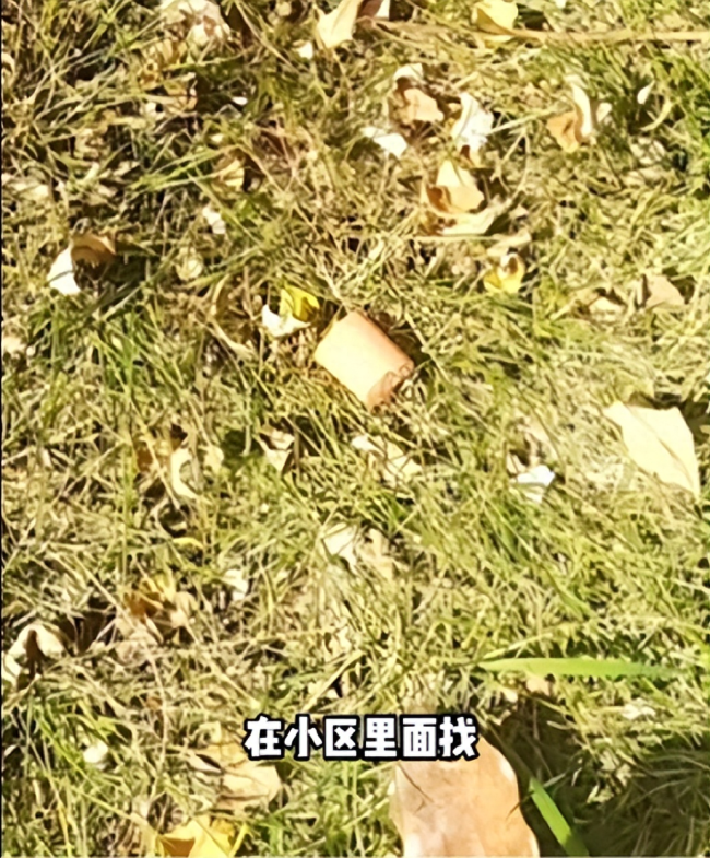 男子小区遛狗时发现草坪被投放多个毒火腿：已报警