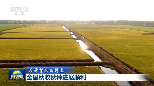 進度近八成！這樣美的秋收景色正在全國上演