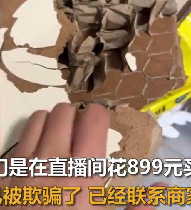 女子花899元网购实木复合门，因孩子被反锁，踹开里面竟全是纸板