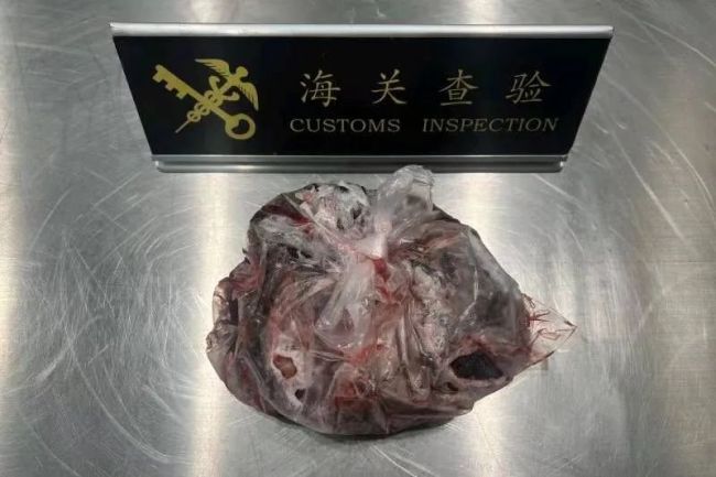 女子携人体胎盘入境被海关查处