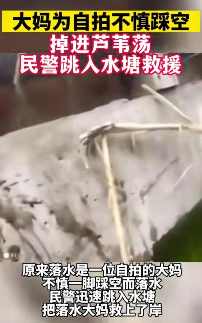 大妈为自拍不慎一脚踩空掉进芦苇荡 民警迅速跳入水塘救援