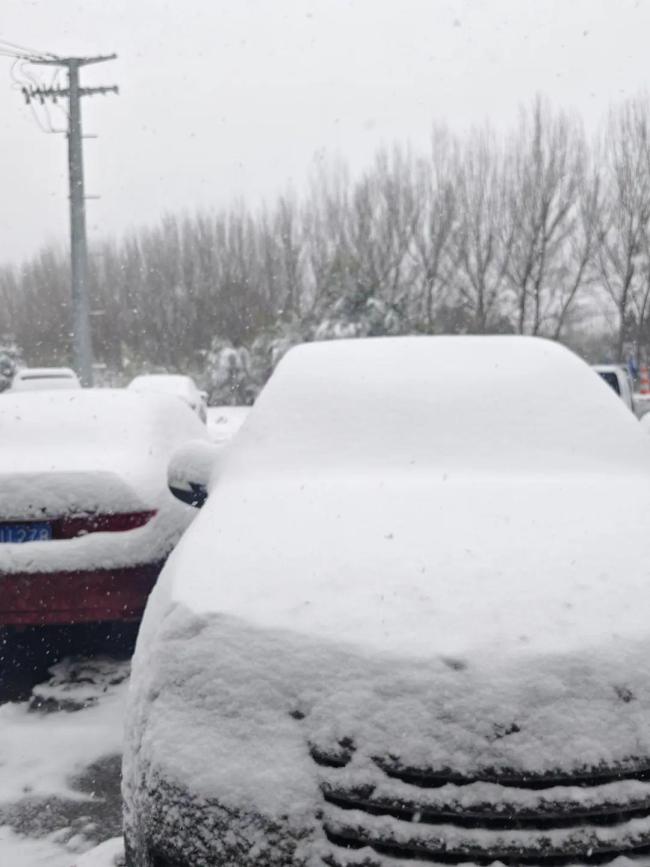 中雪是多大的雪图片