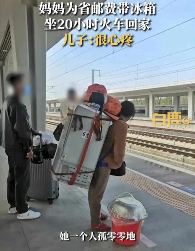 妈妈为省钱背冰箱坐20小时火车回家 儿子：心疼又愧疚