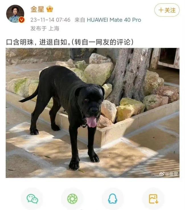 格力报案，事情闹大了：金星和傅盛会不会被抓