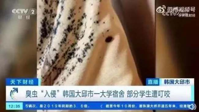 臭虫危机暴发：还没被咬到，人就先崩溃了