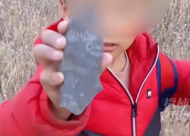 男孩爬山捡到“怪石头”,竟是5亿年前古生物化石