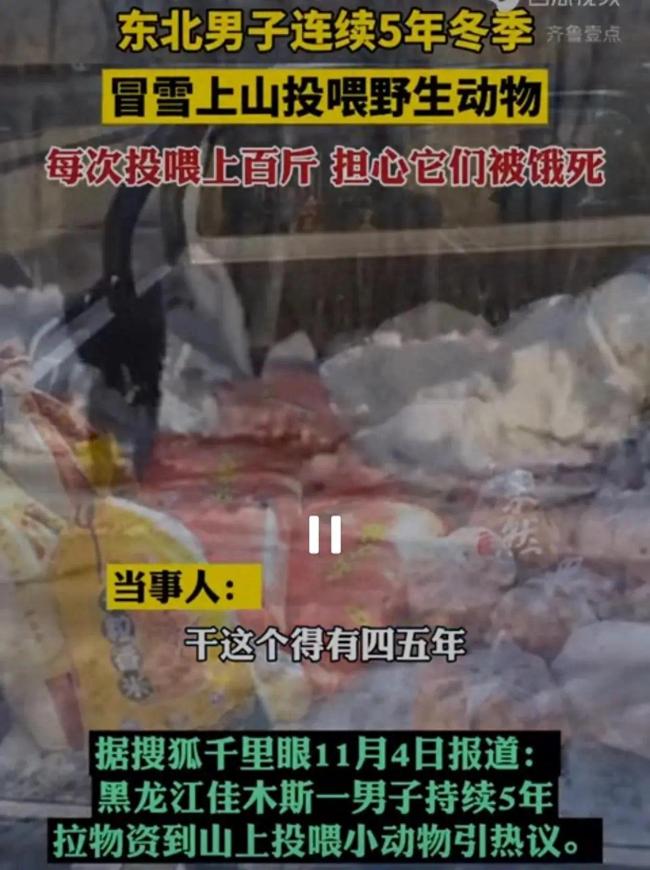 东北男子连续5年冬季冒雪上山投喂野生动物，每次投喂上百斤，担心它们被饿死