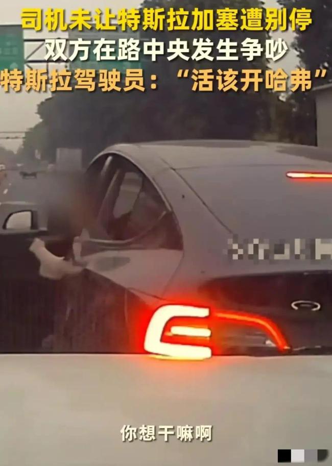 司机未让特斯拉加塞遭别停 女司机下车怒怼:你是人吗活该开哈弗