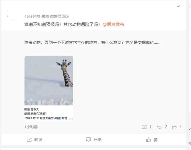 连降暴雪动物园只剩长颈鹿露头？园方回应：它早已躲进暖气房