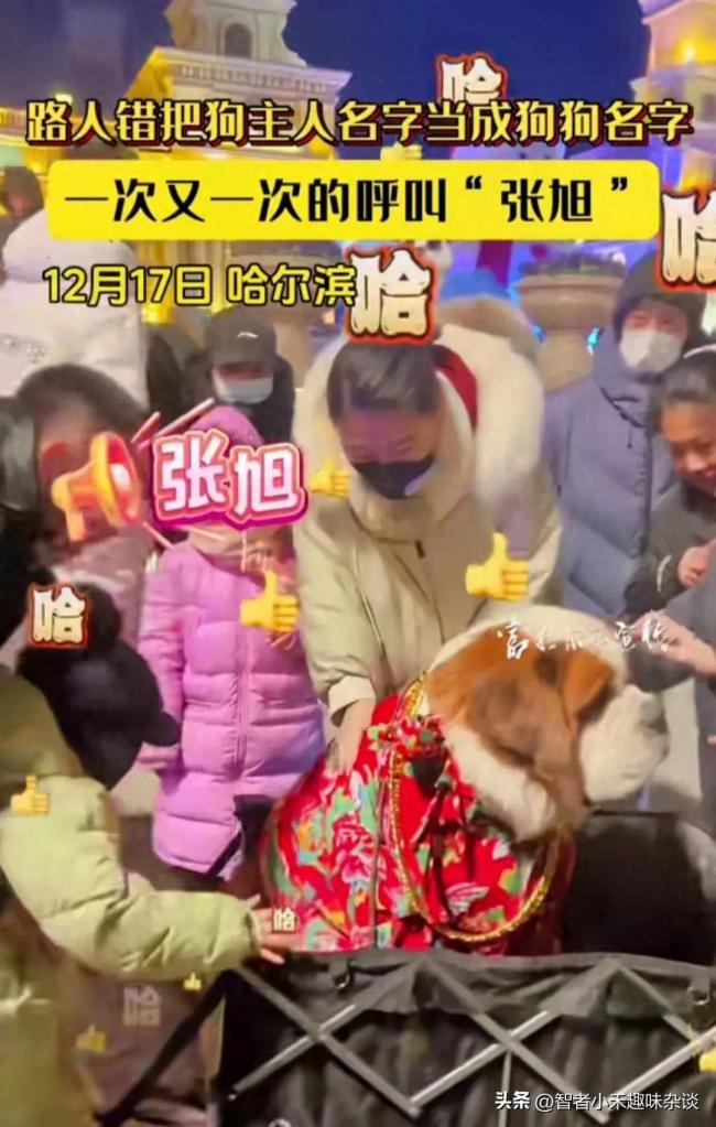 路人错把狗主人名字当成狗狗名字 网友：中国的张旭都跟着你火了