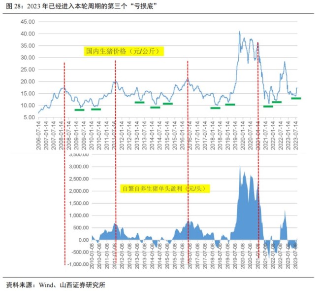 豬價跌入歷史冰點何時迎轉機為何豬肉價格前所未有的低迷