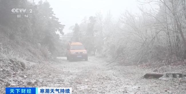 画面震撼！钱塘江现罕见冰封潮汐树奇景