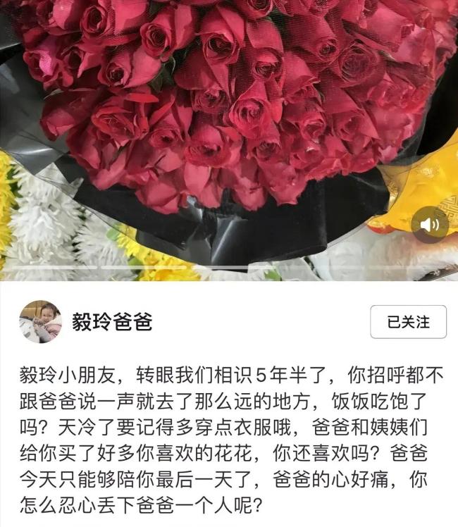 毅玲爸爸的评论区让人看哭,网友们太善良了
