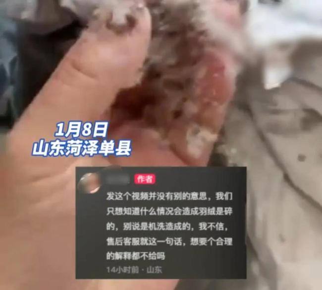 女子称波司登穿洗几次剪开全是碎末 当事人：花2000多买的鹅绒材质