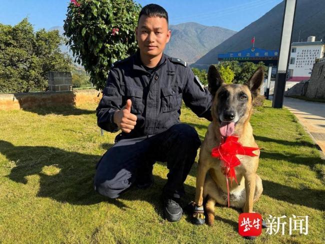 功勋犬执勤被钢钉扎破脚掌仍坚持执行任务 奖励一盆“功勋鸡腿”！