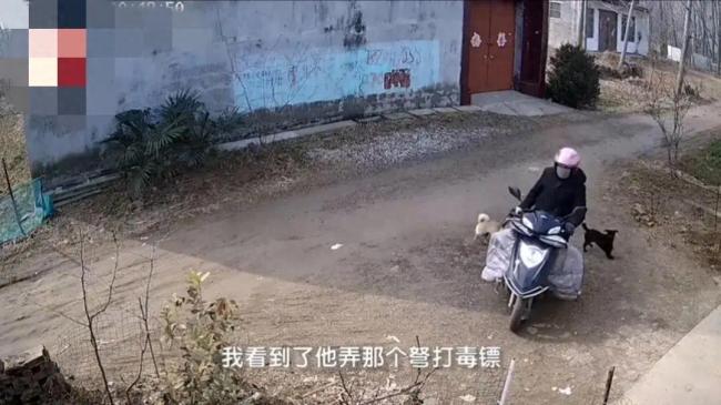 男子骑摩托车发射毒镖偷狗，被主人发现后逃离现场