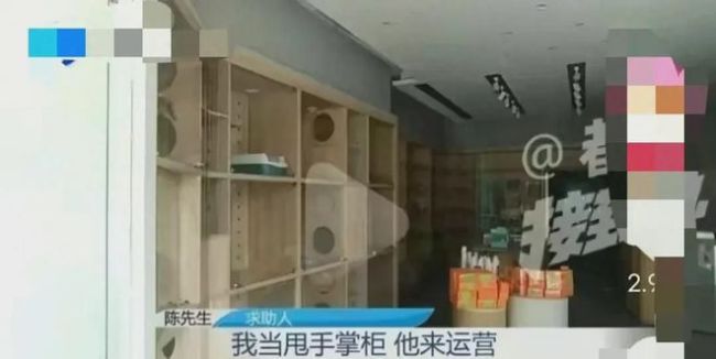 郑州一男子宠物店被霸占后续 街道办：停薪停职，等纪委调查结果